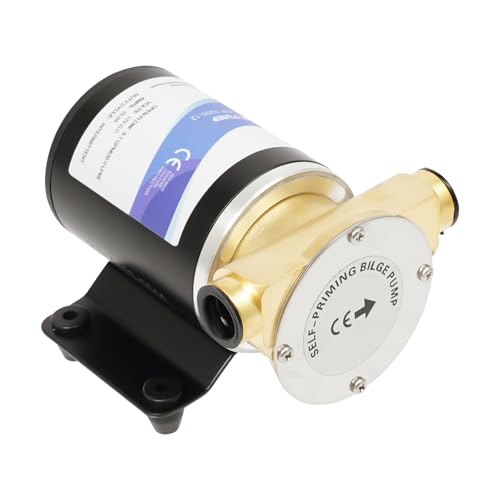12V Selbstansaugende Bilgepumpe, 12V Frischwasserpumpe 6GPM 30L/Min, Elektrisch Zahnradpumpe, Hochdruck Deckswaschpumpe Wasserpumpe für Bewässerung und Tägliche Wasserversorgung von BraveeFly