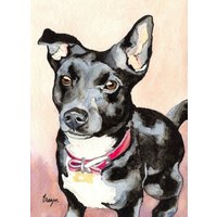 Tier Portrait - Original Aquarell Gemälde in Auftrag Gegeben von BrazenDesignStudio