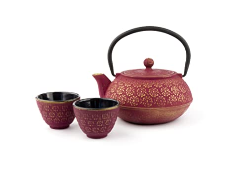 Bredemeijer rotes asiatisches gusseisernes Teekannen Set 0.6 Liter mit 2 Tassen von Bredemeijer