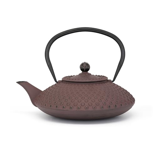 Bredemeijer flache gusseiserne Asia Teekanne 1.25 Liter aubergine - große emaillierte Gusskanne Induktion mit Edelstahlfilter-Siebeinsatz von Bredemeijer