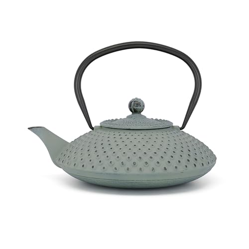 Bredemeijer flache gusseiserne Asia Teekanne 1.25 Liter hellgrün - große emaillierte Gusskanne Induktion mit Edelstahlfilter-Siebeinsatz von Bredemeijer