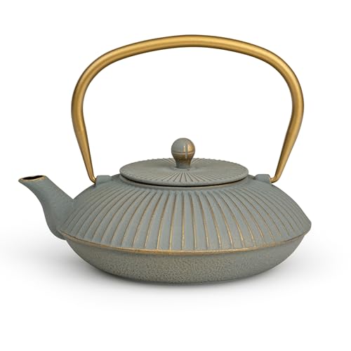 Bredemeijer graue flache Asia Teekanne Induktion 1.1 Liter - kleine emaillierte Gusseisenkanne mit Edelstahl Teefilter-Sieb-Einsatz Bredemeijer graue flache Asia Teekanne Induktion 1.1 Liter - kleine emaillierte Gusseisenkanne mit Edelstahl Teefilter-Sieb-Einsatz von Bredemeijer