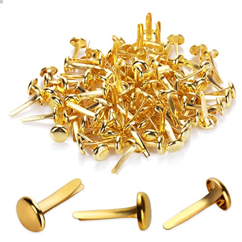 100 Stück Mini Brads Musterbeutelklammern Rundkopfklammern Musterklammern Metall Rundkopfklammern Scrapbooking Brads Musterklammern Für Schule Büro Papier Briefklammern Basteln Handwerk DIY(Gold) 100 Stück Mini Brads Musterbeutelklammern Rundkopfklammern Musterklammern Metall Rundkopfklammern Scrapbooking Brads Musterklammern Für Schule Büro Papier Briefklammern Basteln Handwerk DIY(Gold) von Bremorou