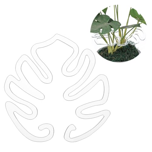 Pflanzenstütze für Monstera Rankhilfe Monstera Stabilisator Greiferhalter gedeihendes Wachstum Pflanzen Innen und Außenbereich Transparent für Kletterpflanzen und Dekoration von Bremorou