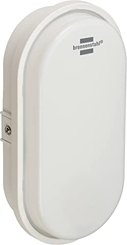 Brennenstuhl LED Ovalleuchte OL 1650 (15W, 1680lm, 4000K, IP65, Kellerleuchte zur Wandmontage) von Brennenstuhl