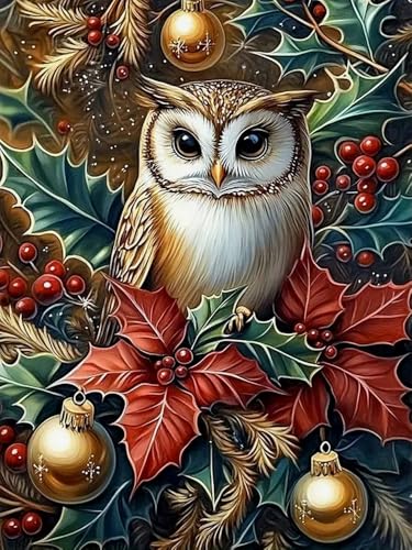 Brennora Vorgedruckt Kreuzstich Set Weihnachten Eule 11CT Stickerei Leinwand kit DIY Kunst für Anfänger Kinder Heimdekoration 40x50 cm von Brennora