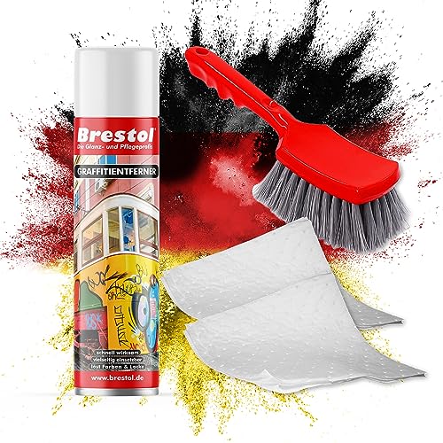 BRESTOL® GRAFFITI ENTFERNER 400 ml Spray SET - inkl. Chemikalienbindevlies & Bürste - Graffitilöser Farbabbeizer Farblöser Farbentferner Lackentferner Lacklöser Lasurlöser Abbeizmittel Abbeizer von Brestol