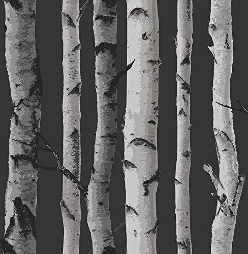 Brewster FD31052 Birkenbaum-Tapete, schwarz/Silber von Brewster