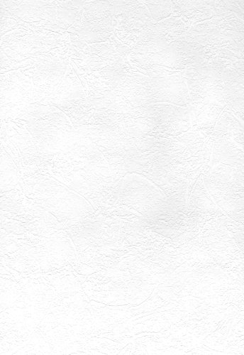 Brewster 497-67473 Sante Fe Slap Trowel Plaster Wallpaper, White von Brewster