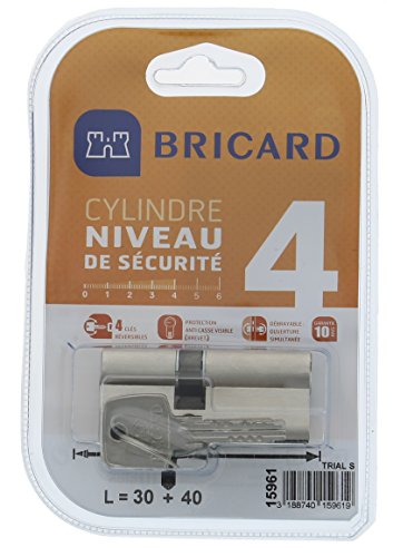 Bricard Zylinder Trial S 30 + 40 vernickelt, doppelte Eingang, Sicherheitsstufe 4, Wendeschlüssel, Widerstand-/Kleinschreibung und verwindungssteif. Resistance im Bohren, im Lockpicking und im Brass von Bricard