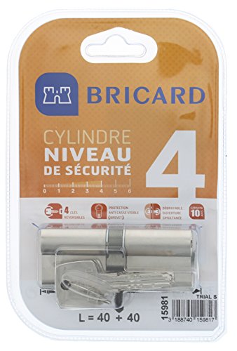 BRICARD 15981 Zylinder Trial S 40 + 40 vernickelt, doppelte Eingang, Sicherheitsstufe 4, Wendeschlüssel, Widerstand/Kleinschreibung und verwindungssteif BRICARD 15981 Zylinder Trial S 40 + 40 vernickelt, doppelte Eingang, Sicherheitsstufe 4, Wendeschlüssel, Widerstand/Kleinschreibung und verwindungssteif von Bricard