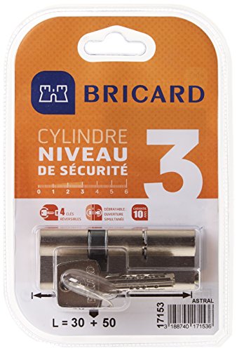 BRICARD 17153 Zylinder 14703 Astral 2,9 Messing vernickelt 10 Kolben, 2 Eingänge Schutz gegen den Bohren und dem Lockpicking. Karte Persönliche., Stahl vernickelt, 80 = 30 + 50 von Bricard