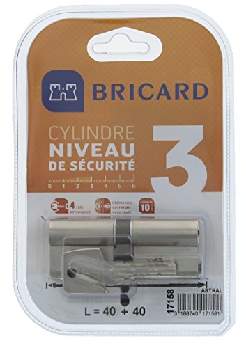 BRICARD 17158 Zylinder 14703 Astral 2,9 Messing vernickelt 10 Kolben, 2 Eingänge Schutz gegen den Bohren und dem Lockpicking. Karte Persönliche., Stahl vernickelt, 80 = 40 + 40 von Bricard