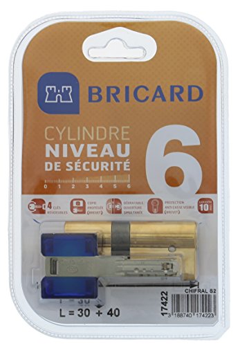 Bricard 17422 Doppeltes Zylinderschloss, Chifral-Eingang S2 30 x 40, Messing, gelb von Bricard