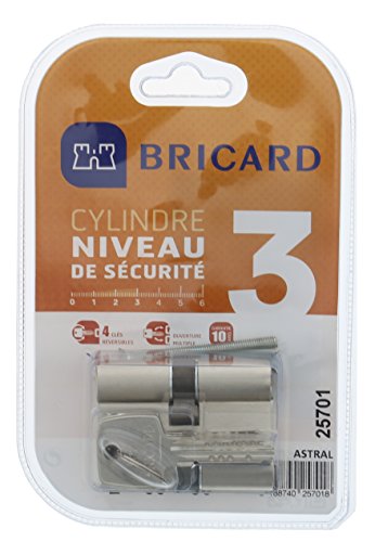 BRICARD 25701 Zylinder Astral 2, 9 Messing vernickelt 10 Kolben, 2 Eingänge 30 + 30 (X2), Protektoren gegen den Bohren, und das Lockpicking. Karte Persönliche von Bricard