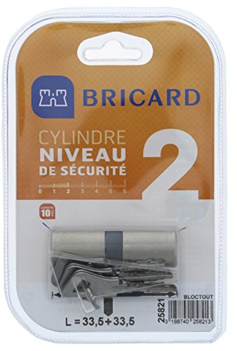 BRICARD 25821-Zylinder bloctout Ø 21, 5 mm von Bricard