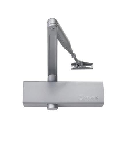 Bricard 6201107 Türschließer, Technologie Ritzel, Stärke 2 bis 4 (bis 80 kg), Standardarm, CE, Silber von Bricard