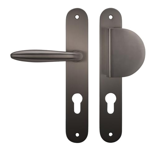 Bricard 99840T1 Set Griffe Skizzenklemme Zamak Farbe Titan + Spoiler europäisches Profil (ohne Zylinder) für Eingangstür von Bricard