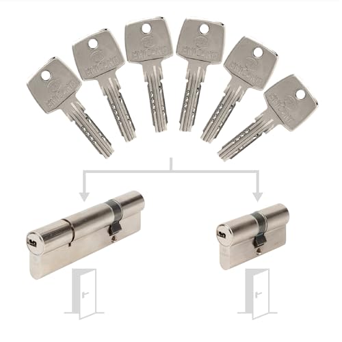 Set mit 2 Zylindern von Bricard Astral, gleichschließend: 30+30 & 30+70 mit 6 Schlüsseln. von Bricard