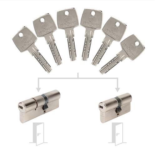 Set mit 2 Zylindern von Bricard Astral, gleichschließend: 30+30 & 40+50 mit 6 Schlüsseln. Set mit 2 Zylindern von Bricard Astral, gleichschließend: 30+30 & 40+50 mit 6 Schlüsseln. von Bricard
