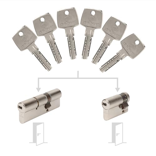 Set mit 2 Zylindern von Bricard Astral, gleichschließend: 35+55 & 30+10 mit 6 Schlüsseln. von Bricard
