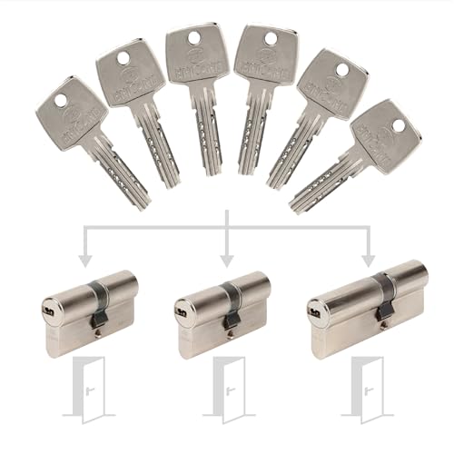 Set mit 3 Zylindern von Bricard Astral, gleichschließend: 2x 30+30, & 1x 30+40 mit 6 Schlüsseln. Set mit 3 Zylindern von Bricard Astral, gleichschließend: 2x 30+30, & 1x 30+40 mit 6 Schlüsseln. von Bricard