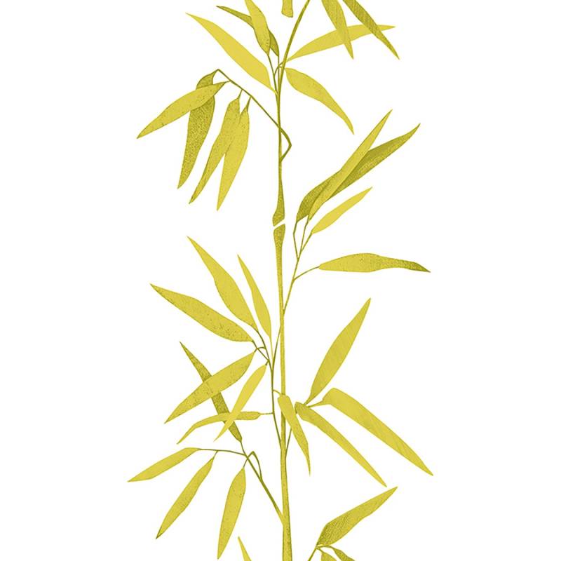 Bricoflor Bambus Tapete Weiß Grün Gold Asiatische Vinyltapete als Tapetenpaneel mit Bambusblättern Moderne Wandtapete Selbstklebend für Flur von Bricoflor