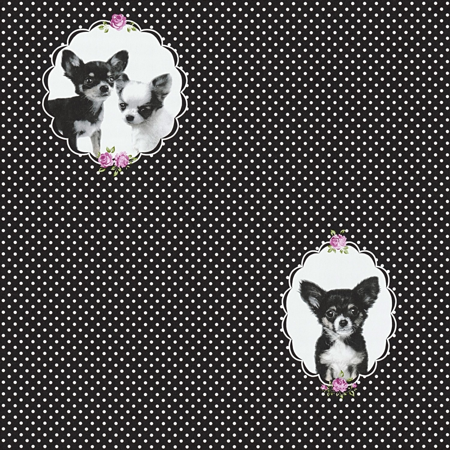Bricoflor Chihuahua Tapete mit Punkten Tier Vliestapete in Schwarz Weiß Ideal für Mädchenzimmer 50Er Jahre Mädchentapete mit Polka Dots und Hunden von Bricoflor