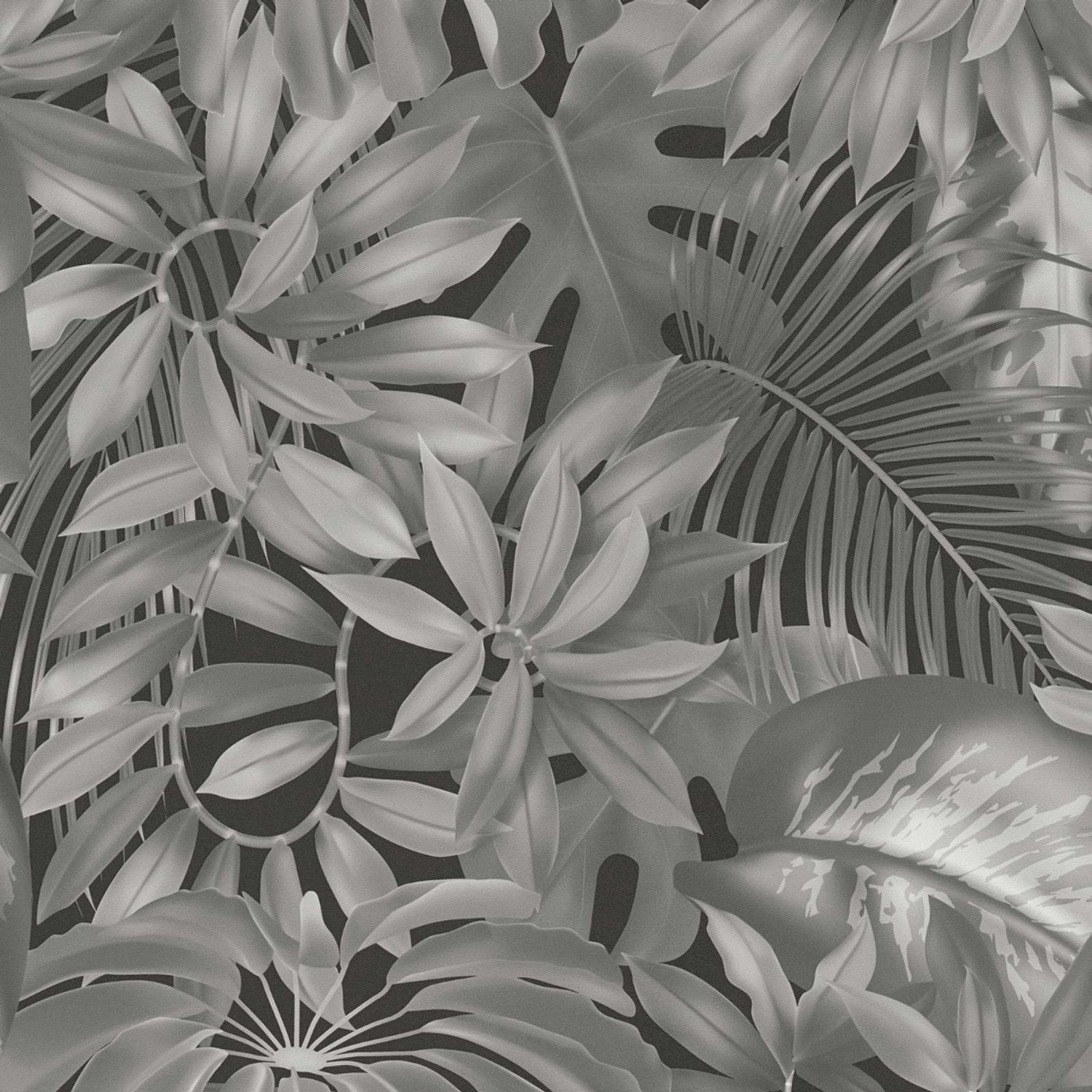 Bricoflor Dschungel Tapete Schwarz Weiß 3D Vliestapete mit Palmenblättern Modern Tropische Tapete Ideal für Küche und Teenager von Bricoflor