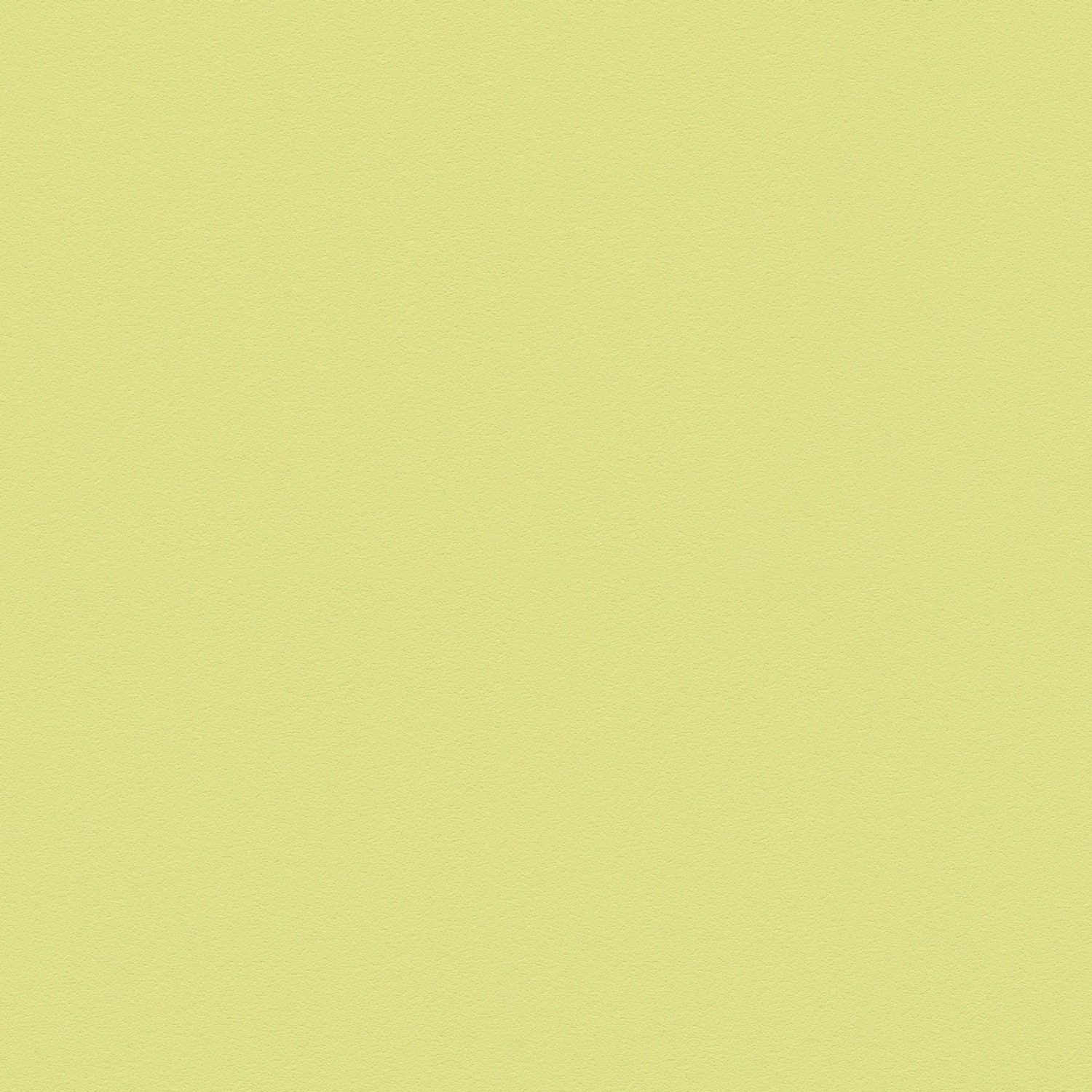 Bricoflor Einfarbige Tapete Gelb Grün Wohnzimmer und Kinderzimmer Vliestapete in Hellgrün Uni Wandtapete mit Vinyl Abwaschbar von Bricoflor