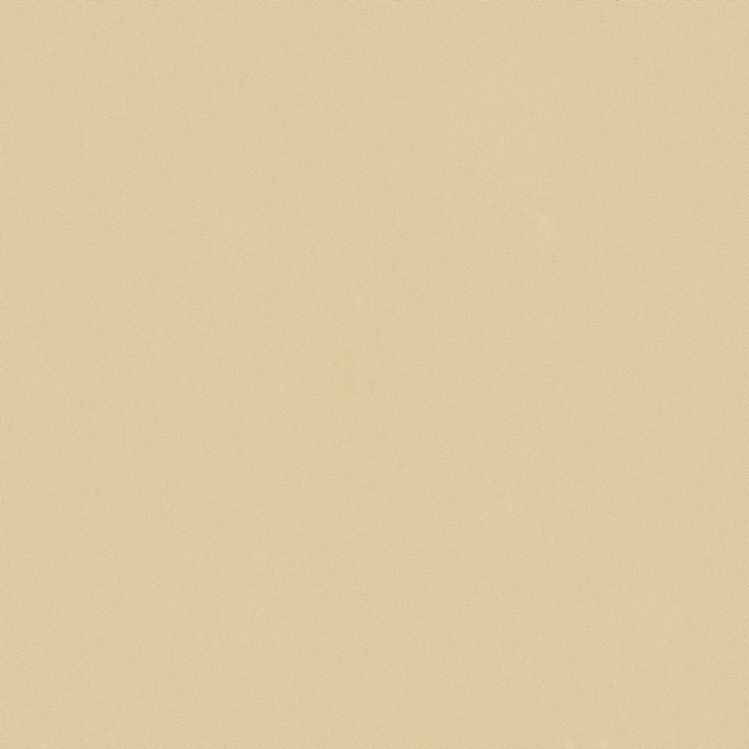 Bricoflor Einfarbige Tapete in Ocker Uni Vliestapete in Oliv Ideal für Wohnzimmer und Esszimmer Wandtapete in Textiloptik von Bricoflor