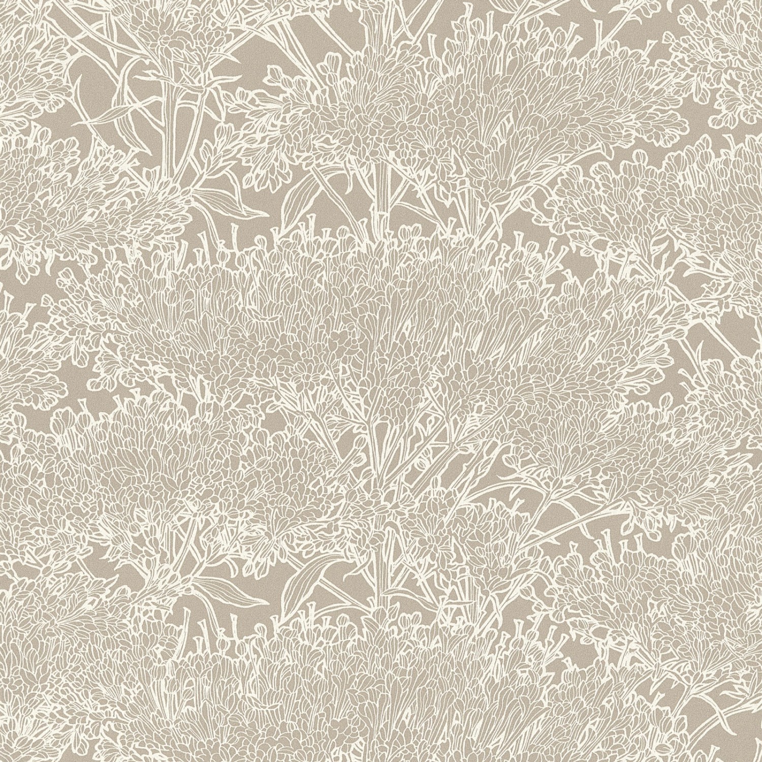 Bricoflor Florale Tapete in Beige und Weiß Moderne Blumentapete für Büro und Schlafzimmer Nordische Vliestapete mit Blumenmuster von Bricoflor