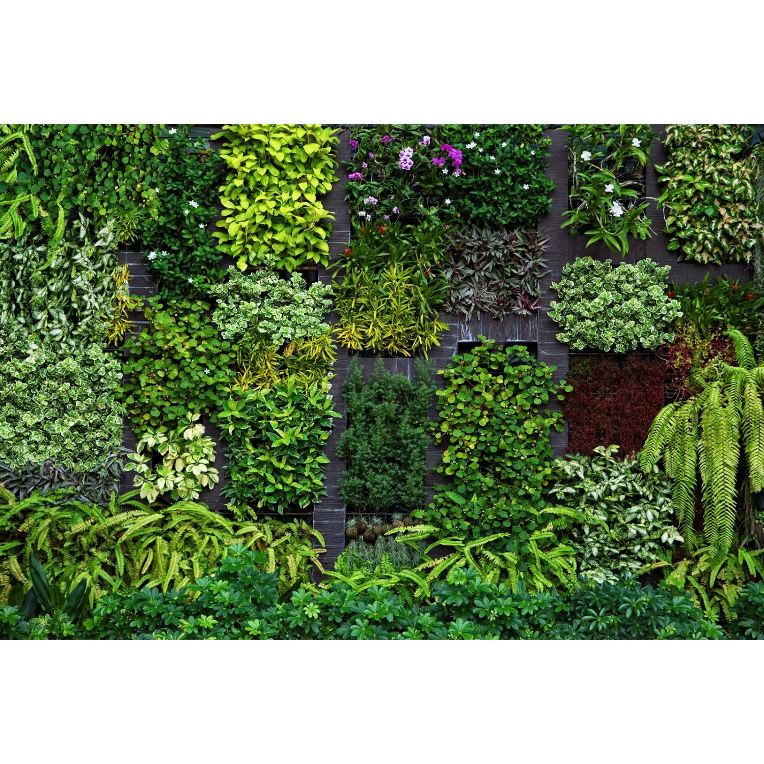 Bricoflor Grüne Fototapete Blick in Den Garten Pflanzen Tapete in 3D Optik für Wohnzimmer und Küche Botanik Vliestapete mit Gartenmotiv Bricoflor Grüne Fototapete Blick in Den Garten Pflanzen Tapete in 3D Optik für Wohnzimmer und Küche Botanik Vliestapete mit Gartenmotiv von Bricoflor