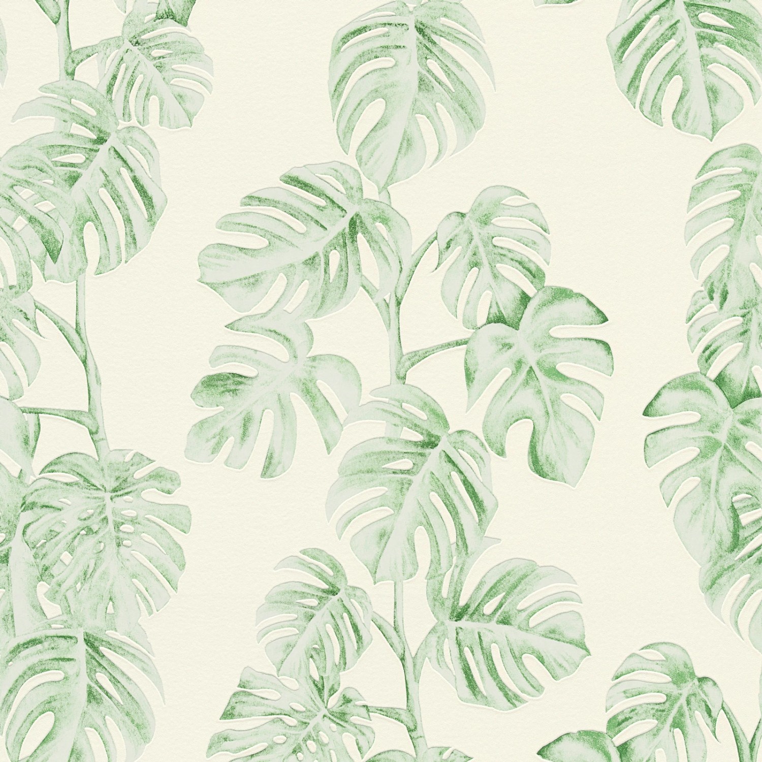 Bricoflor Grüne Palmentapete Monstera Tapete in Creme und Hellgrün Ideal für Wohnzimmer und Schlafzimmer Vinyl Vliestapete mit Palmenblättern von Bricoflor