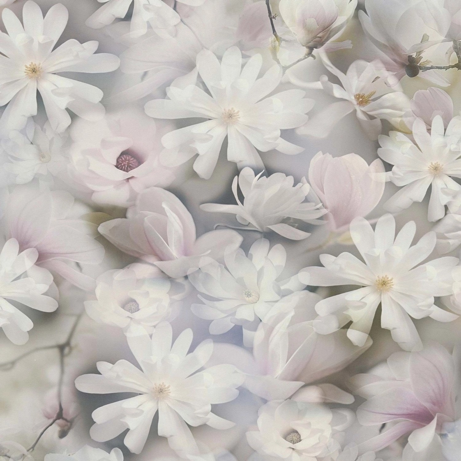 Bricoflor Helle Tapete mit Magnolien Blumentapete in 3D Optik Vliestapete mit Blumen in Weiß Grau Ideal für Schlafzimmer und Küche von Bricoflor
