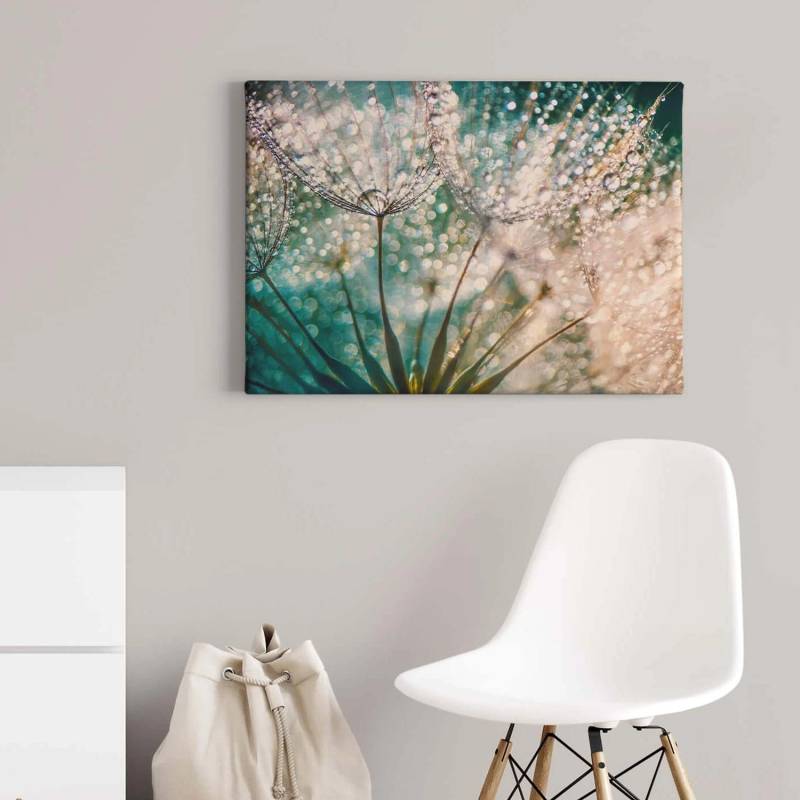 Bricoflor Leinwand Bild Mit Pusteblume Wandbild Mit Pflanze Und Morgentau Schlafzimmer Und Badezimmer Bild Im Wellness Stil In Türkis Und Weiß von Bricoflor