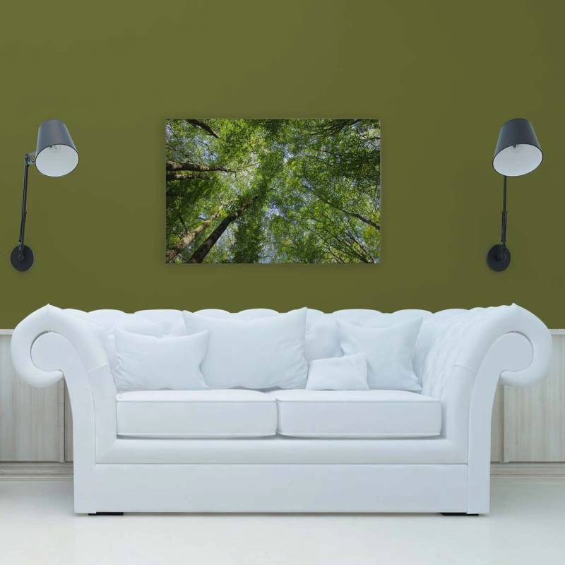 Bricoflor Leinwandbild Wald 120X80 Cm Natur Wandbild Grün Für Wohnzimmer Und Schlafzimmer Deko Leinwand Mit Baumkronen von Bricoflor
