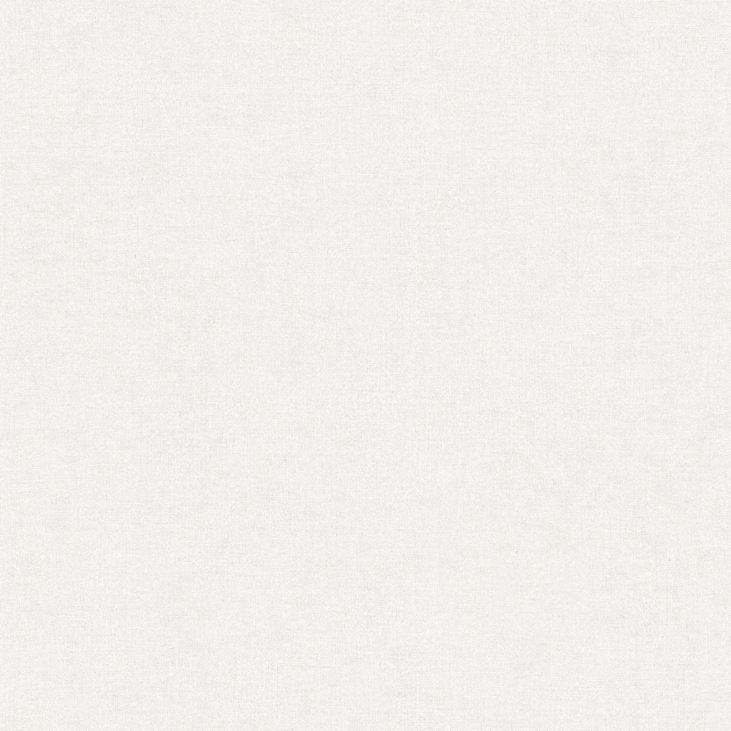 Bricoflor Moderne Vliestapete in Grau Schlichte Uni Tapete Ideal für Büro und Wohnzimmer Hellgraue Vinyl Tapete im Einfarbigen Stil von Bricoflor