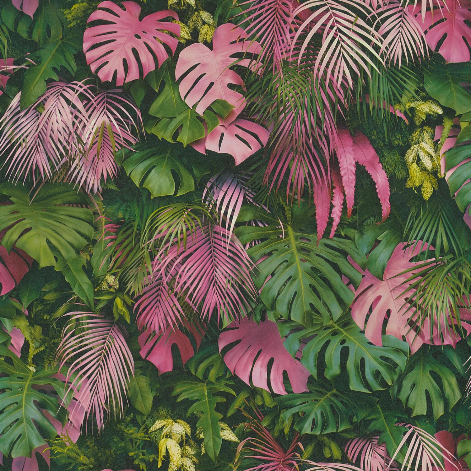 Bricoflor Monstera Tapete ausgefallen Palmentapete in Grün und Pink für Jugendzimmer und Schlafzimmer Dschungel Vliestapete mit Palmenblättern von Bricoflor