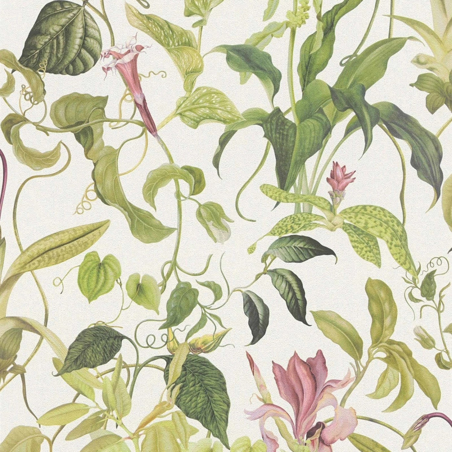 Bricoflor Ranken Tapete Grün Rosa Botanik Vliestapete mit Blätter Design in Hellgrün Tropische Vlies Wandtapete mit Vinyl für Wohnzimmer von Bricoflor