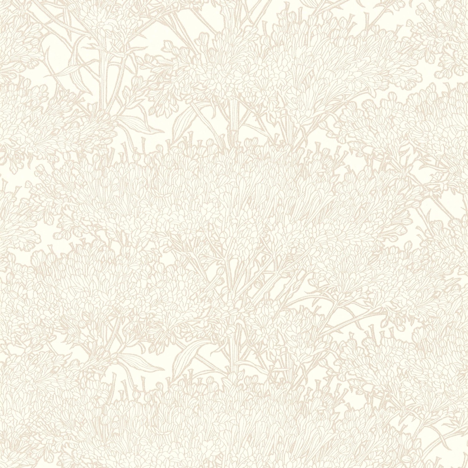 Bricoflor Skandinavische Tapete mit Blumen Schlafzimmer und Wohnzimmer Tapete in Creme Weiß Nordische Blumentapete im Modernen Stil Bricoflor Skandinavische Tapete mit Blumen Schlafzimmer und Wohnzimmer Tapete in Creme Weiß Nordische Blumentapete im Modernen Stil von Bricoflor