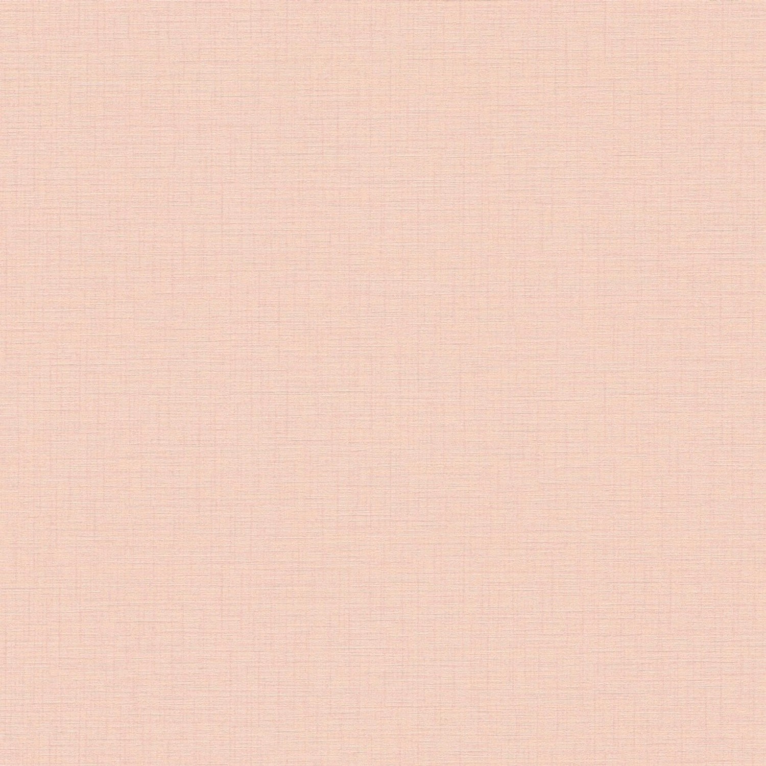Bricoflor Tapete Apricot Uni Einfarbige Vliestapete in Pastellfarben Ideal für Kinderzimmer und Schlafzimmer Vlies Strukturtapete von Bricoflor