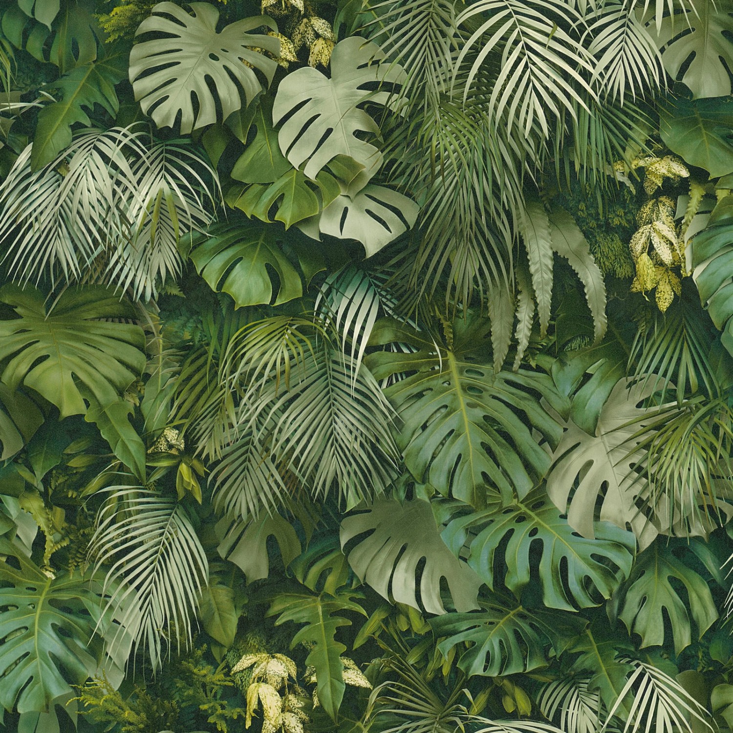 Bricoflor Tapete mit Palmenblättern in Grün 3D Tapete mit Monstera Design für Küche und Schlafzimmer Exotische Vliestapete mit Dschungel Muster von Bricoflor