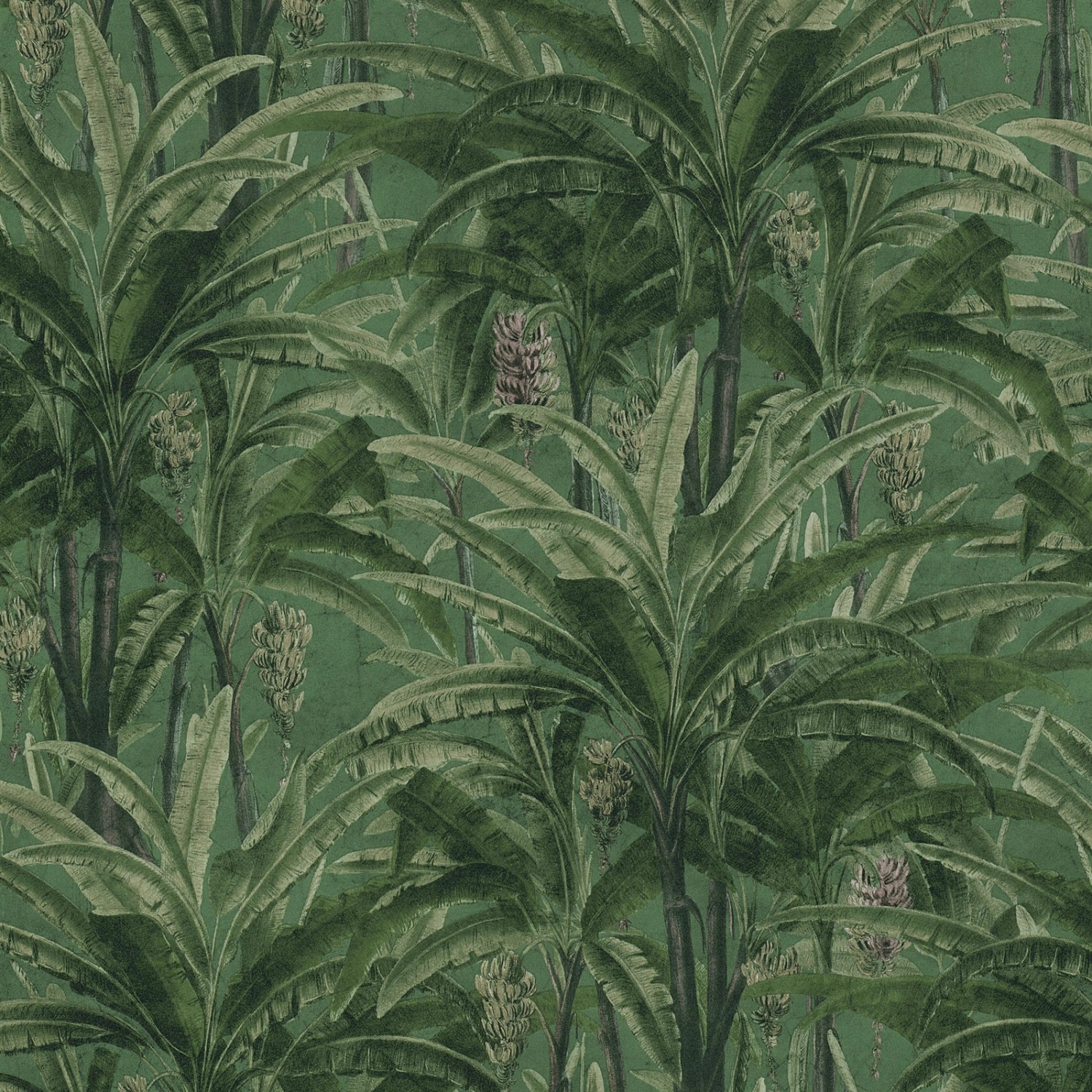 Bricoflor Tapete mit Palmenblättern in Grün Exotische Palmen Tapete für Schlafzimmer und Wohnzimmer Tropical Dschungel Vliestapete mit Vinyl von Bricoflor