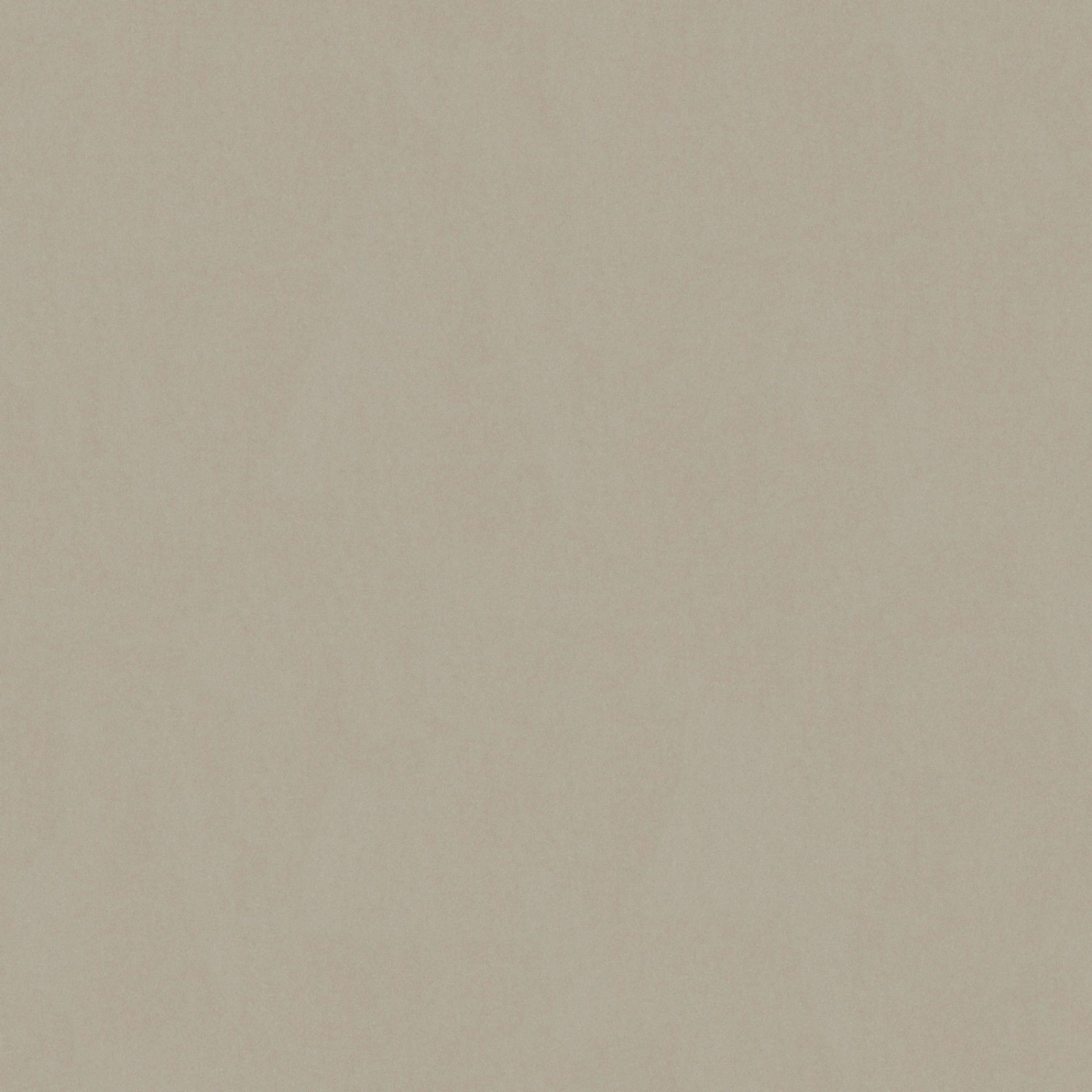 Bricoflor Taupe Tapete im Uni Stil Vlies Unitapete in Grau Beige für Schlafzimmer und Büro Moderne Einfarbige Tapete im Schlichten Look von Bricoflor