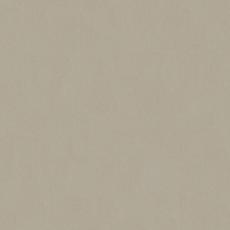 Bricoflor Taupe Tapete im Uni Stil Vlies Unitapete in Grau Beige für Schlafzimmer und Büro Moderne Einfarbige Tapete im Schlichten Look von Bricoflor