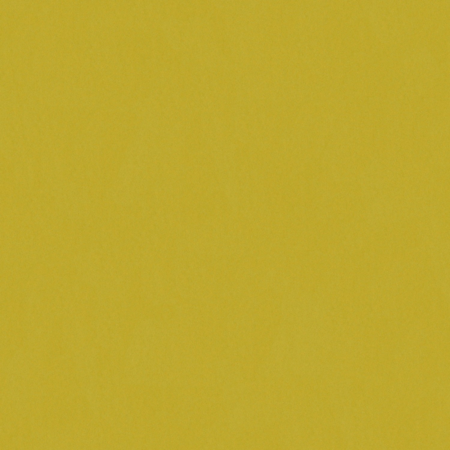 Bricoflor Uni Tapete in Grün Einfarbige Vliestapete in Maigrün für Flur und Wohnzimmer Schlichte Vinyl Wandtapete in Gelbgrün von Bricoflor