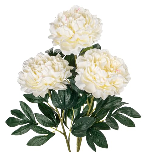 3PCS 74CM Künstliche Pfingstrosen Stiel Kunstblumen Wie Echt, Künstliche Rosen Weiße Pfingstrosen,Vintage Künstliche Blumen Bouquet für Braut Hochzeit Home Party Blumengesteck von Briful