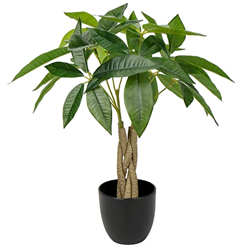 45CM Kunstpflanze Pachira Aquatica Künstliche Pflanzen Glückskastanie Bonsai im Topf Dekopflanze Zimmerpflanze für Badzimmer, Esszimmer, Wohnzimmer Dekoration von Briful