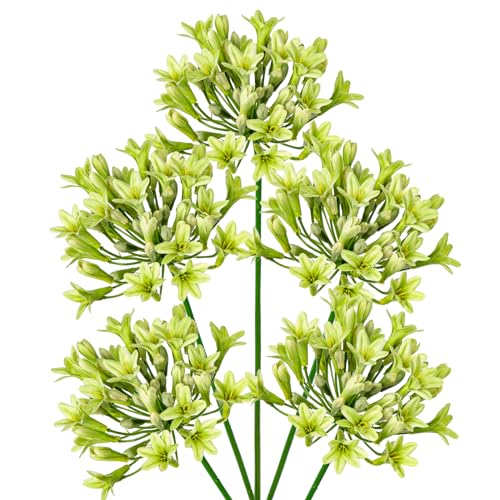 5PCS Kunstblumen Schmucklilie Wie Echt Künstliche Agapanthus Blumen 75CM Länge Frühlingsblumen Grüne Dekoblumen für Blumengesteck Home Resto Büro Dekoration von Briful